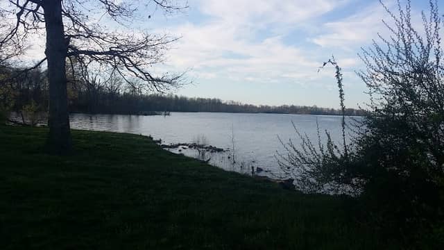 Rend Lake Fish & Wildlife - Image 1