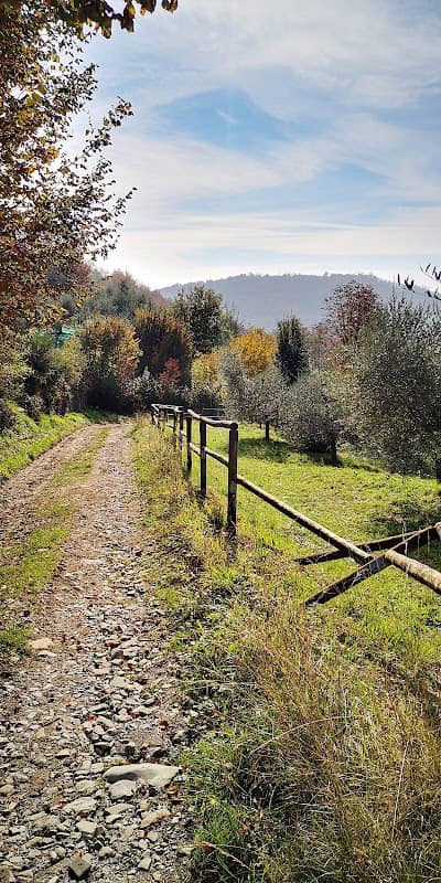 Strada per la Chiesetta di Santa Margherita - Image 3