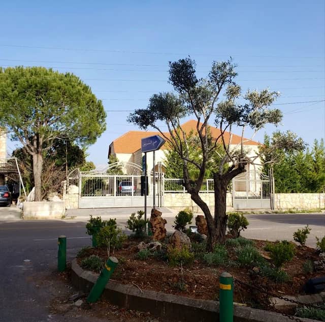 ساحة الزيتونة - Image 1