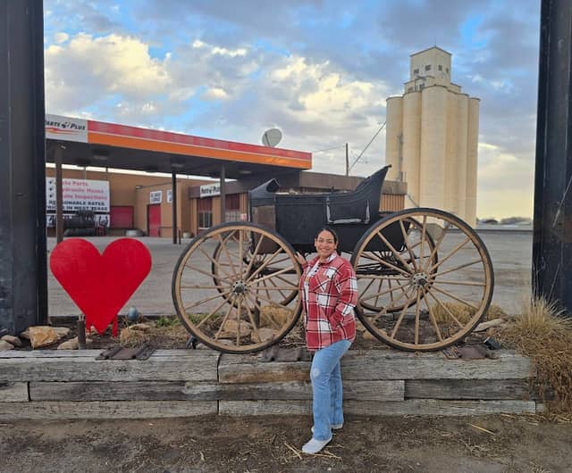Muleshoe Carriage - Image 1