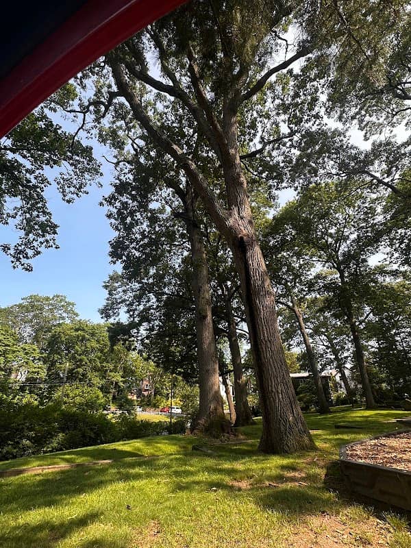 Central Park - Image 4