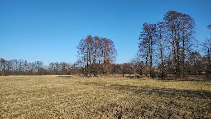 Park Krajobrazowy Dolina Baryczy-rzeka Czarna Woda. - Image 1