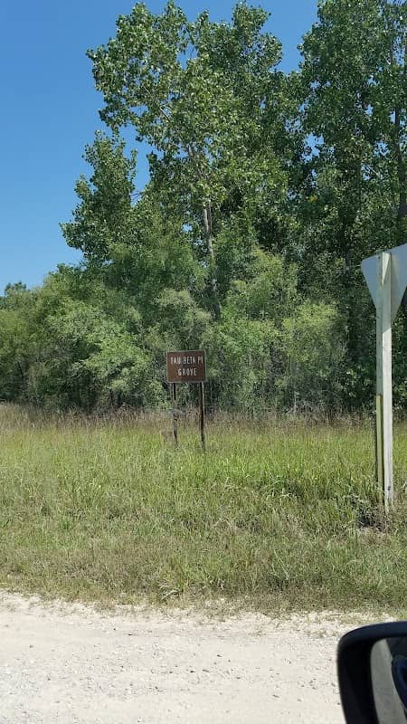 Tau Beta Pi Grove - Image 1