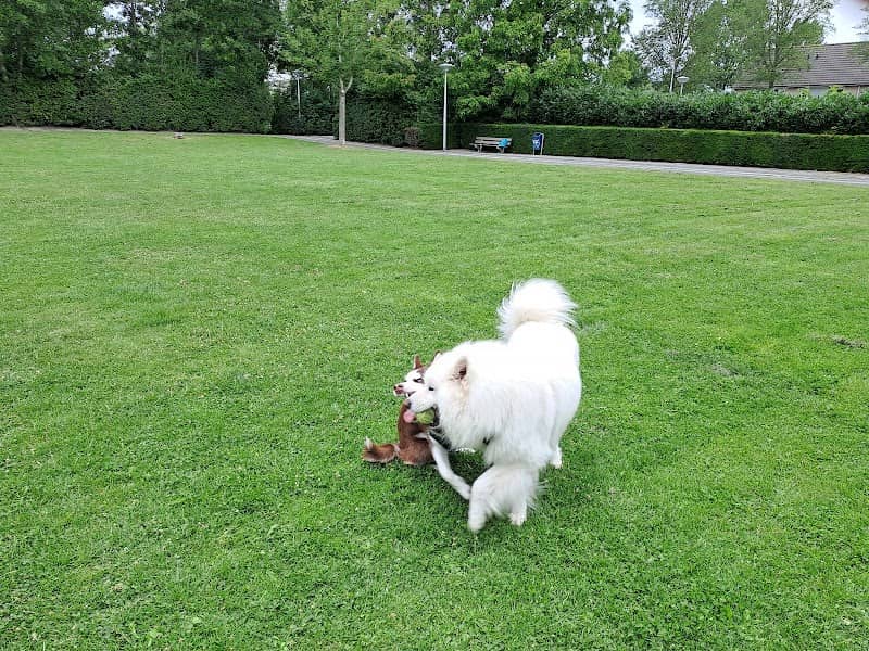 Park - Image 1