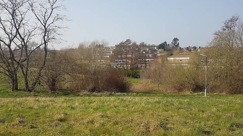 Albany Road Park - Image 1