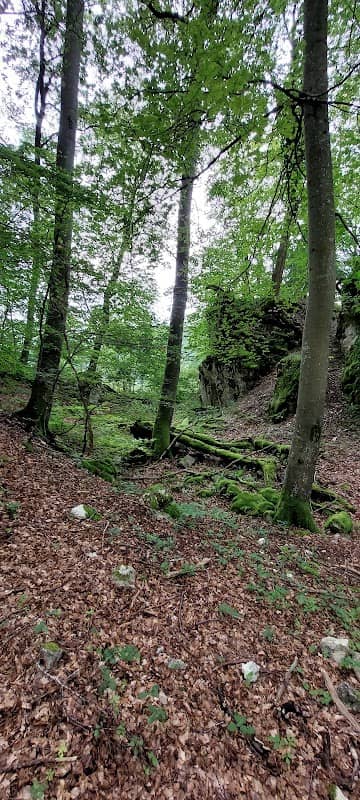 Burg am Heubelstein (Altes Schlößle) - Image 1