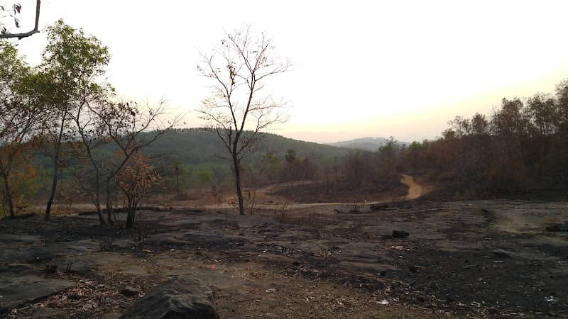 View Point - Image 1