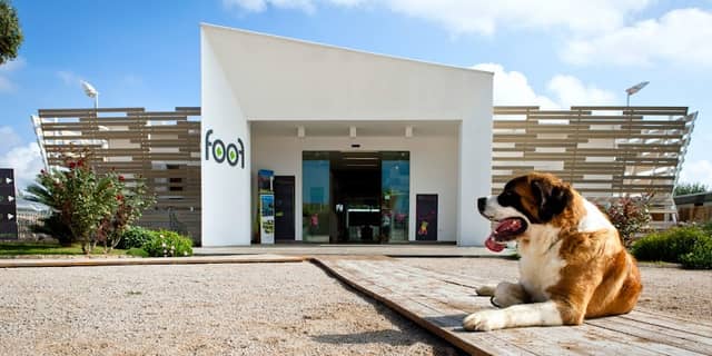 Foof Museum of the Dog Mondragone - Image 1