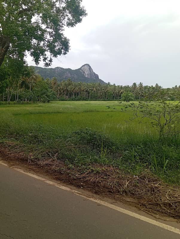 Yakdessagala Entry Point - Image 1