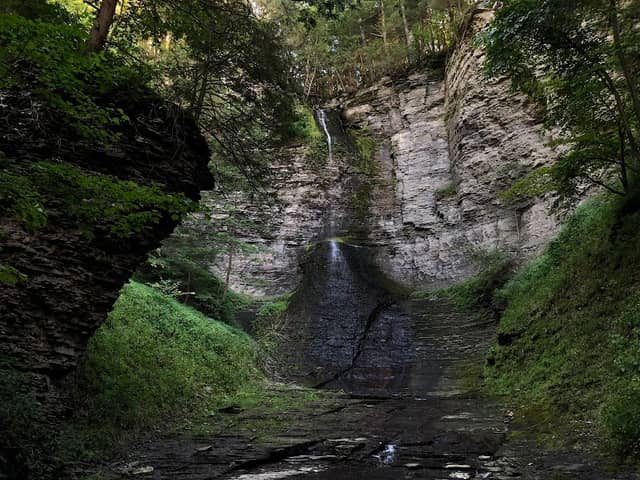 Thayer Preserve Lick Brook - Image 2