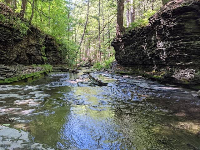 Thayer Preserve Lick Brook - Image 1