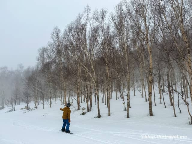Shiga Kogen Nishitateyama Ski Area - Image 3