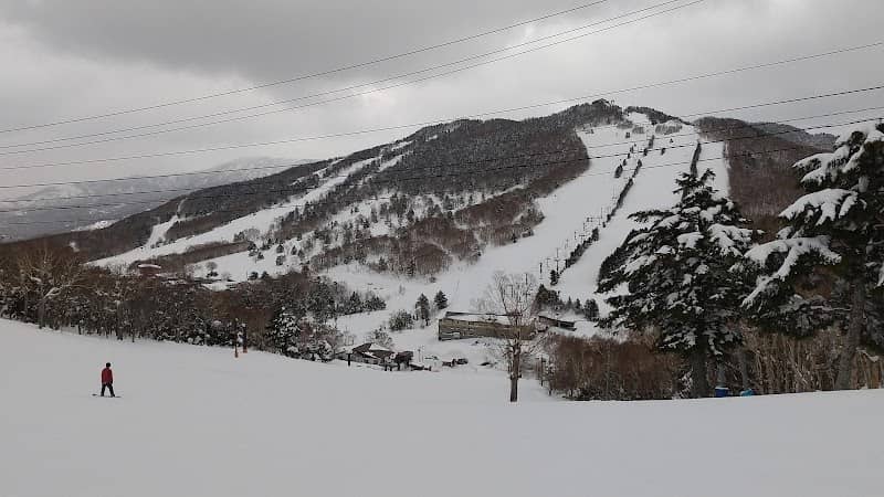 Shiga Kogen Nishitateyama Ski Area - Image 2