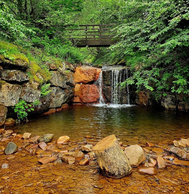 Clydach Vale Country Park - Image 2