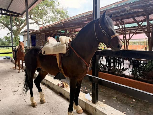 Rancho JR - Image 1