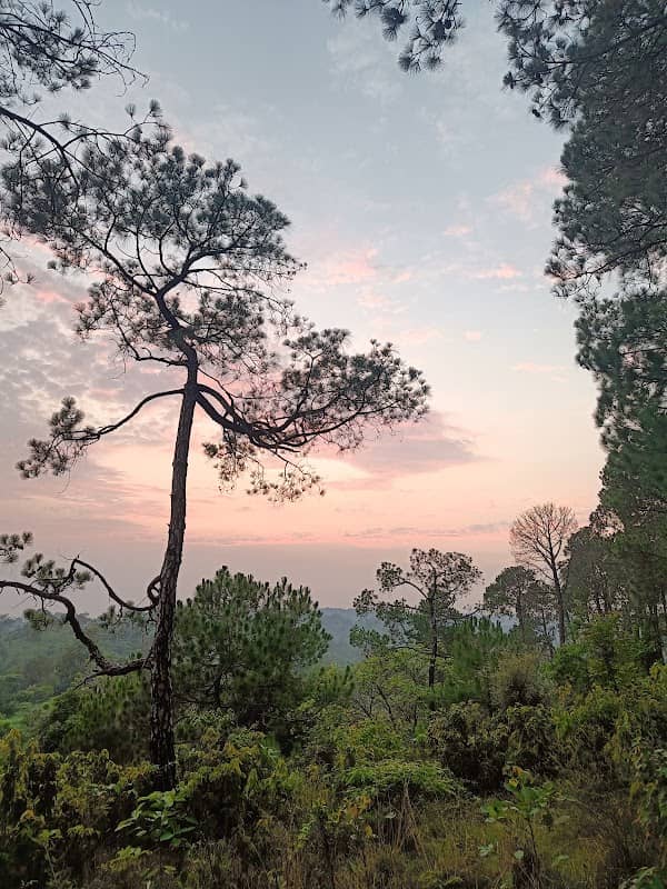Sunset View Point,Burnar - Image 2