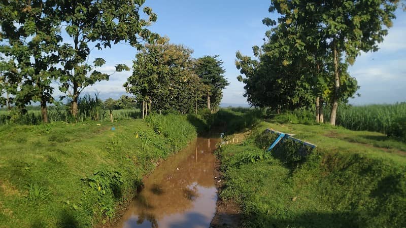 Kali Tumpang - Image 1