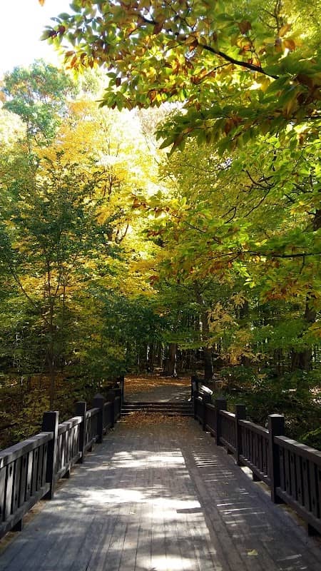 Seven Bridges - Image 2