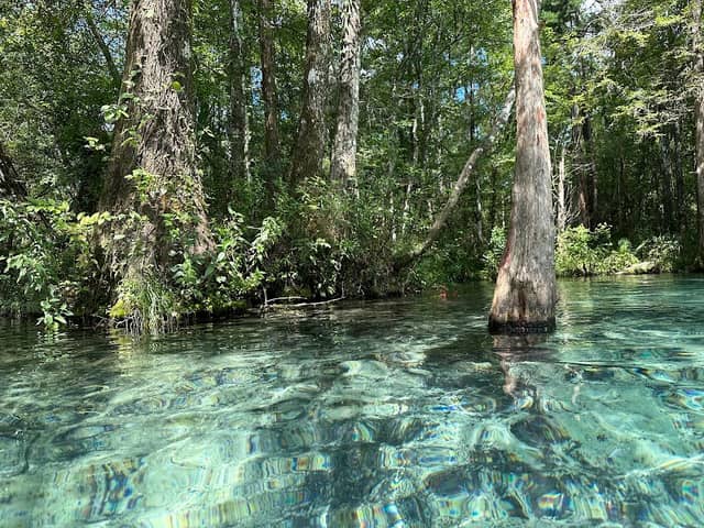 Ponce de Leon Springs State Park - Image 1
