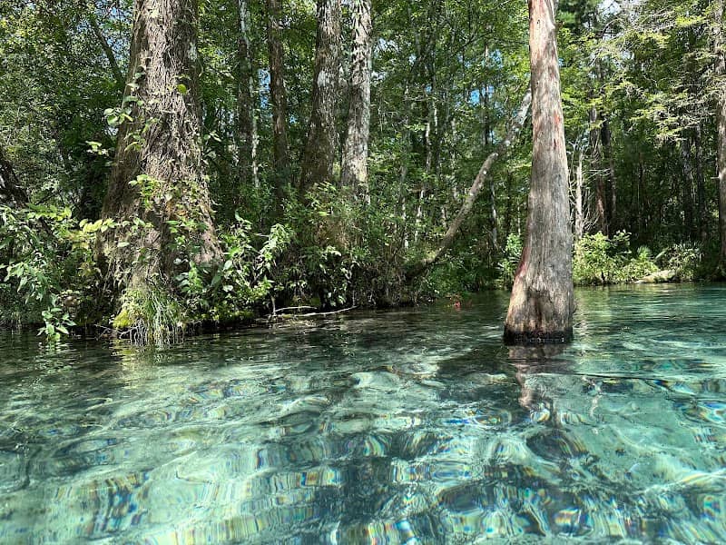 Ponce de Leon Springs State Park - Image 1