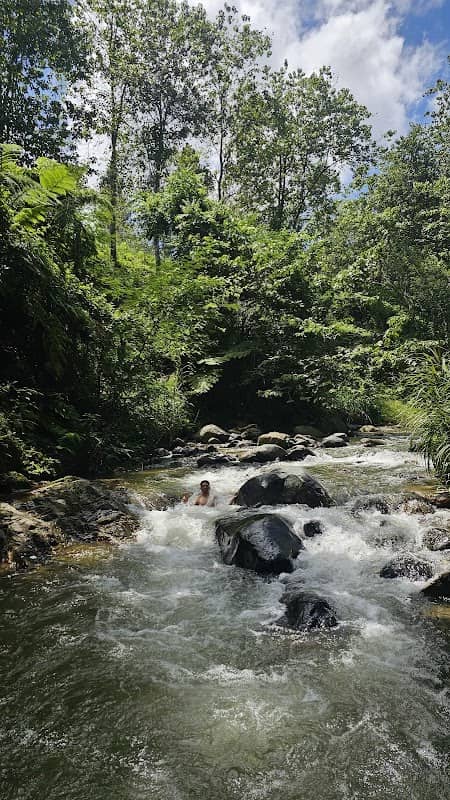 El charco de Juan Rosario (Charco de los tubos) - Image 1