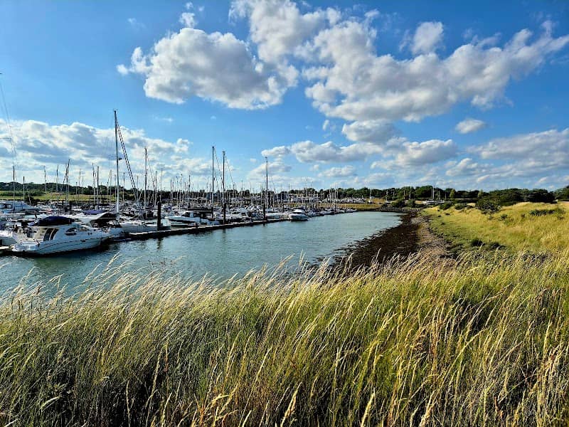 Saltmarsh Coast Trail - Image 2