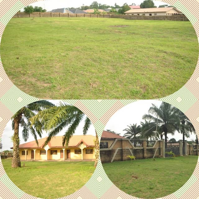 ACOMS INTERNATIONAL GARDEN - Image 2