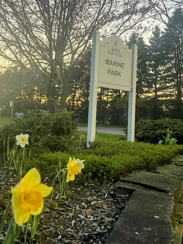 Marine Park - Image 2