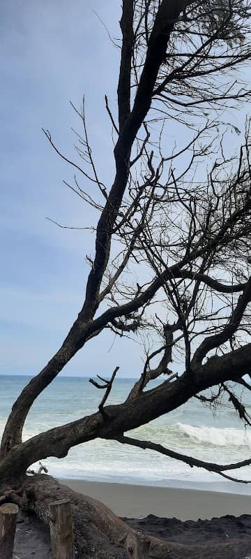 Pantai Dewaruci Bantul - Image 1