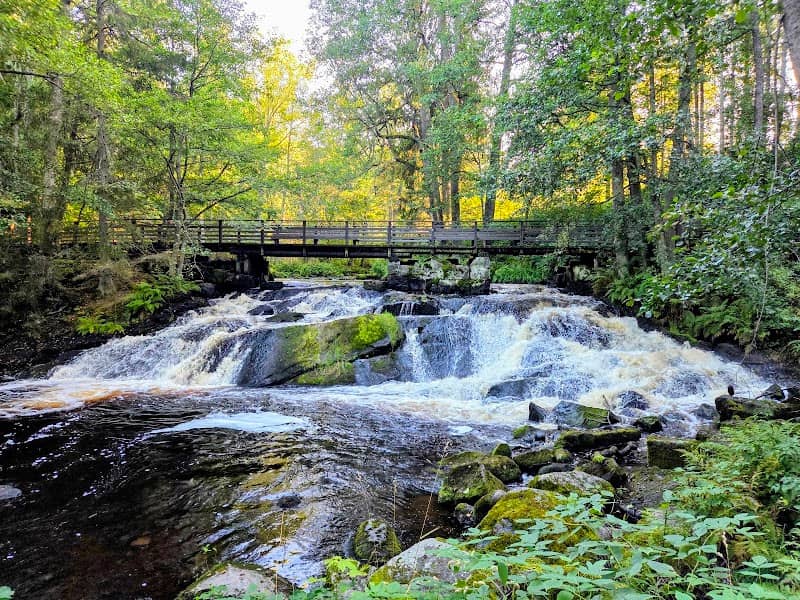 Myllykoski Rapids - Image 1