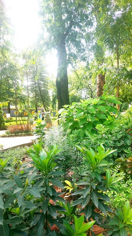 Dr. Kalaignar Centenary Park - Image 1