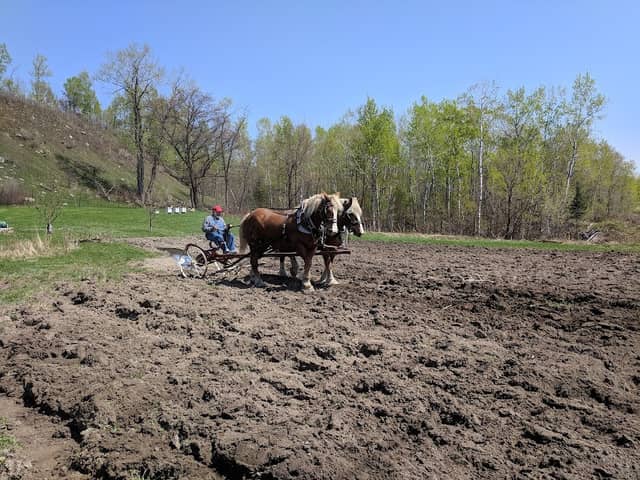 Nashwauk Community gardens - Image 2