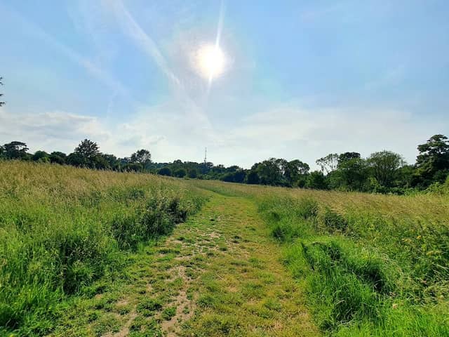 Hayle Park Nature Reserve - Image 1