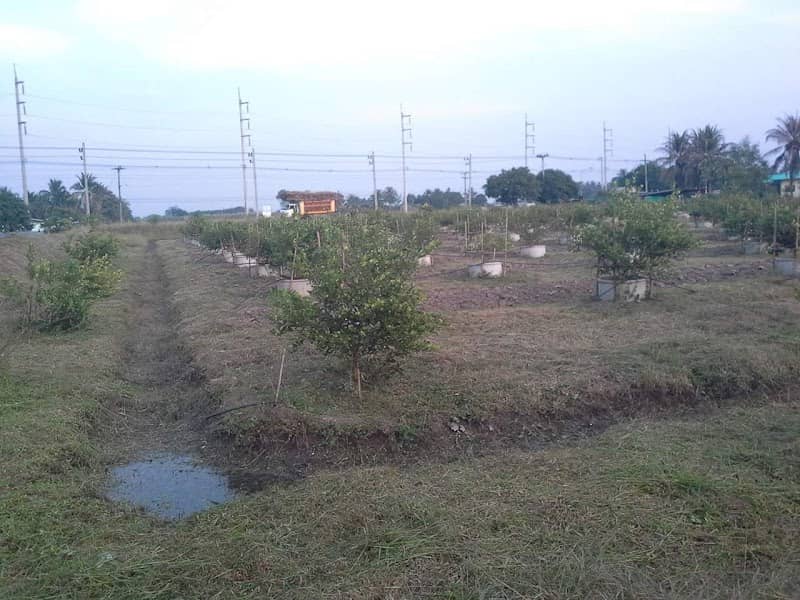Nantiwat Garden - Image 1