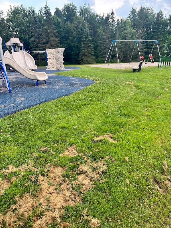 Centrale Park - Image 1