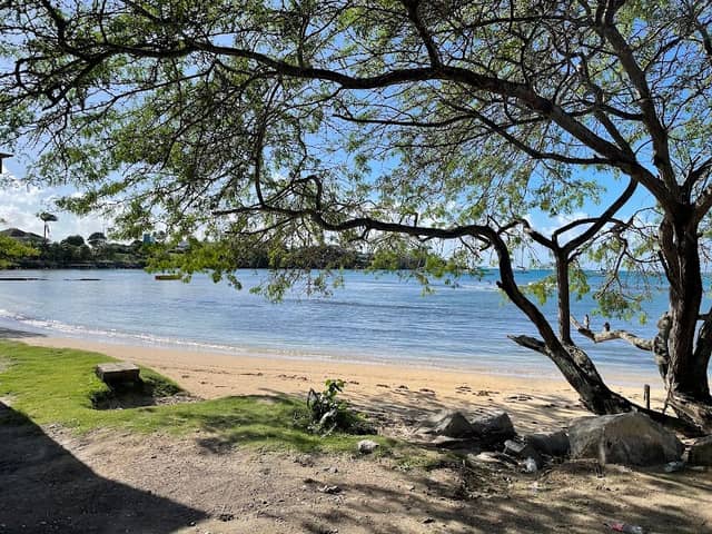 True Blue Beach - Image 2