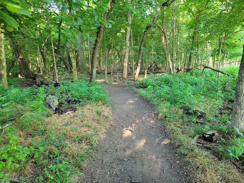 Rush Run Nature Preserve - Image 1