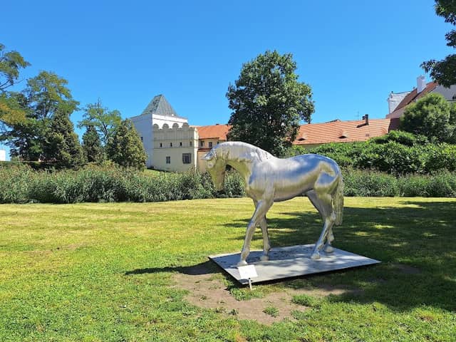socha Koně - Image 2