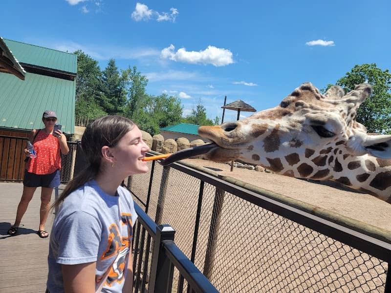 The Wild Animal Park - Image 1