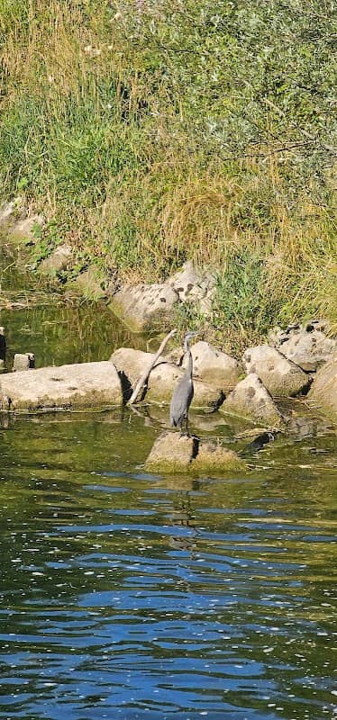 Réserve forestière des Îles de Villeneuve Zone Sud/ S.-Ouest - Image 1