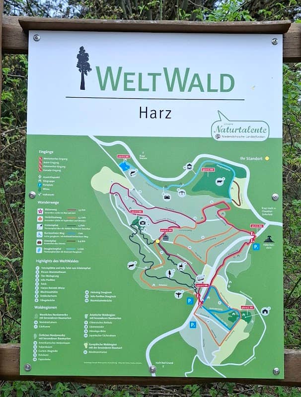 Weltwald Bad Grund - Image 1