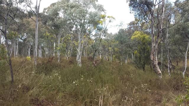 Bicentennial Park - Image 1
