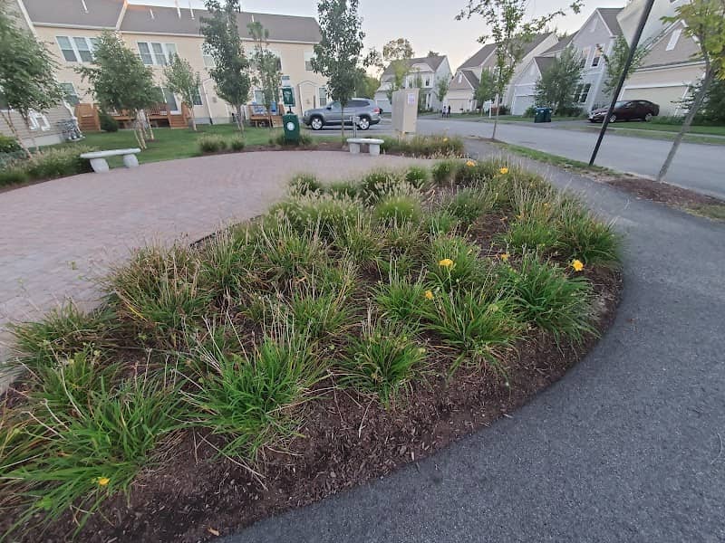 Little Chestnut Park - Image 1