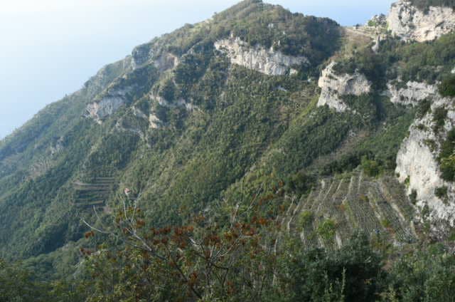 Li Cannati - Sentiero degli Dei - Image 3