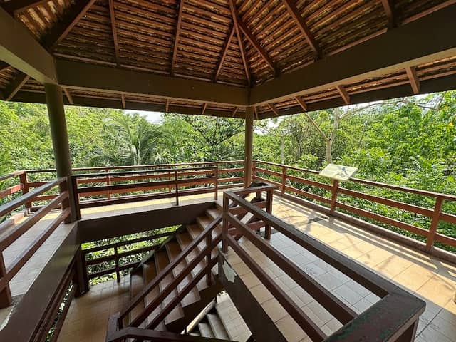 Bird Watching Tower at Si Nakhon Khuean Khan Park - Image 3