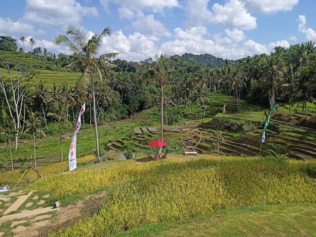 KISSIDAN ECO HILL RETREAT & RESTO - Image 2