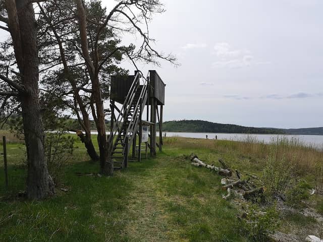 Svansjöviks fågeltorn - Image 1