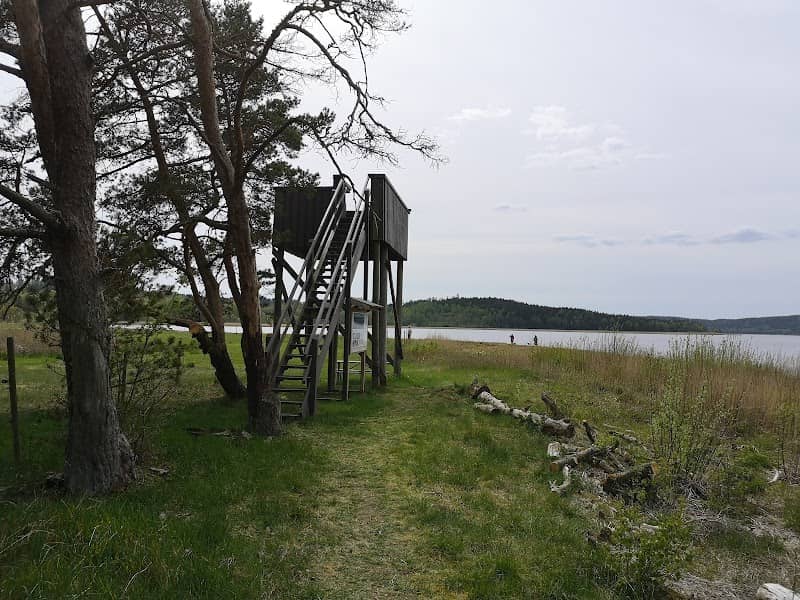 Svansjöviks fågeltorn - Image 1