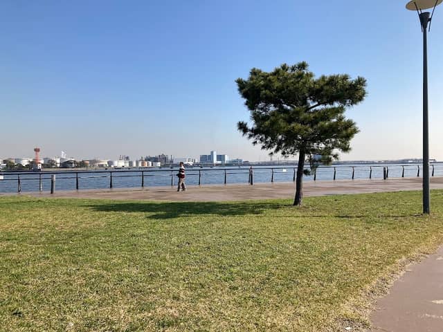 Beach of Kawasaki - Image 2