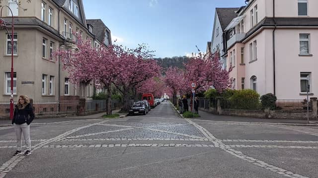 Pink Street Marburg - Image 2